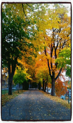 9e oktober-animation