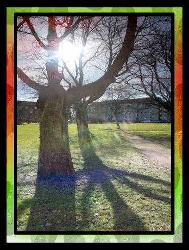 8mars2014-animation1