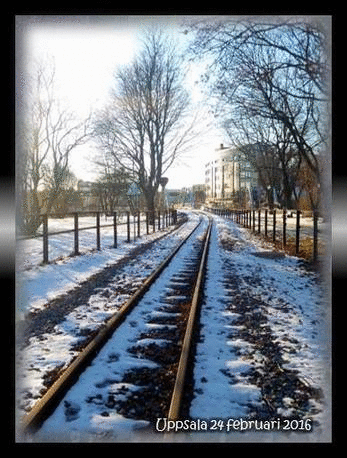 Uppsala 24 februari 2016-animation
