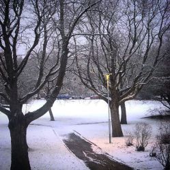 19 mars 2016, snö i Uppsala